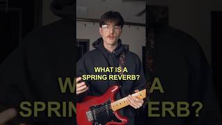 What is a spring reverb?… #guitar #guitartalk #guitarist #musicgear #springreverb