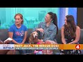 Daytime Buffalo: Meet Jack the rescue dog and learn about Mafia Mutts!