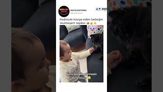 Kedisiyle Kavga Eden Bebeğin Muhteşem Tepkisi 😂🐱👶