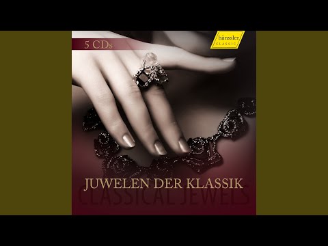 I Musici - Concerto For Viola In G Major, TWV 51 G9: II. Allegro
