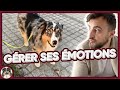 Ref:3sFaCxgjd_w Il faur ge rer ses e motions dans l'e ducation du chien (sans parler de la crise d'ado  )