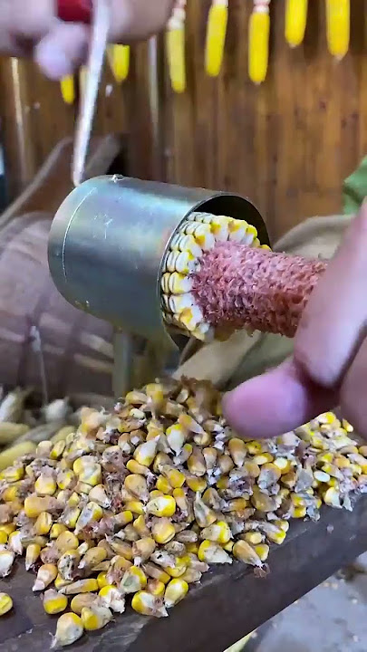 Hand cranked corn thresher #creativity #tools