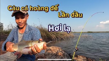 Lần đầu tiên trải nghiệm câu cá hoàng đế hồ trị an