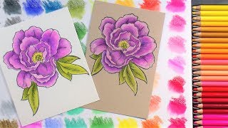Arteza Colored Pencil Review & Demo: Coloring on Toned vs. White Paper