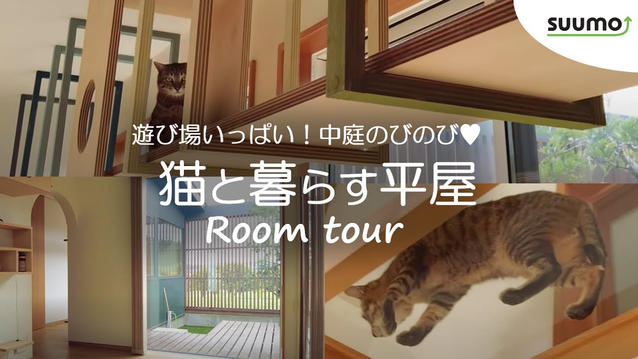 【ルームツアー】 猫と暮らす家 猫愛いっぱいの中庭付き平屋｜肉球みえるキャットウォーク、爪とぎや猫トイレなど工夫満載【公式】SUUMO（スーモ）