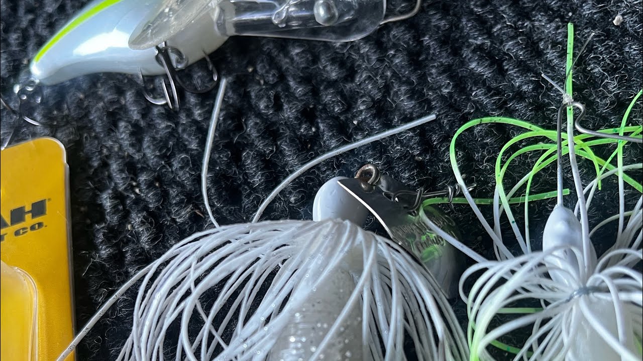 TOP 5 BAITS FOR SUMMER BASS FISHING