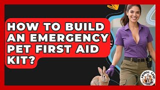 How To Build An Emergency Pet First Aid Kit? - Animal Care Jobs