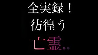 【危険】全実録！彷徨う亡霊...【心霊スポット】