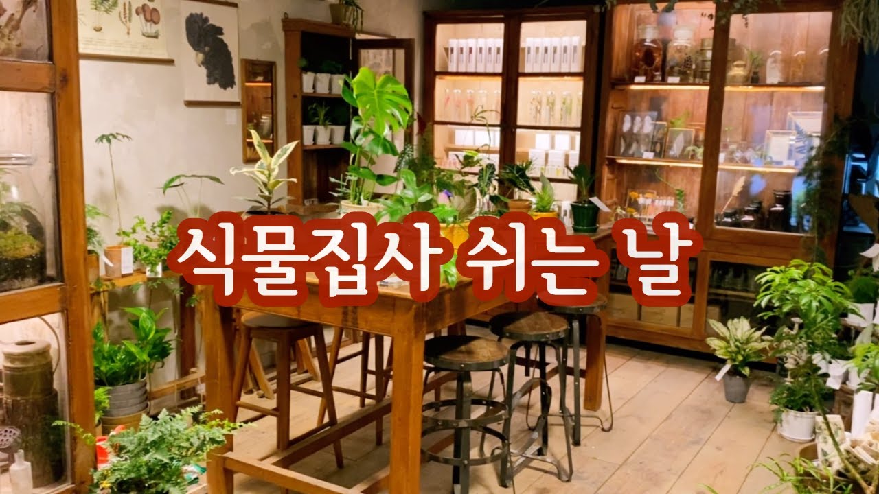 식물집사가 쉬는 날엔 뭐할까? I 식물카페 수우 I 슬로우파마씨