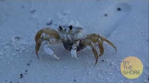 VIC3001 - Module 3 Activity 2