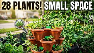 28 plants in 1 frontyard(Part 3)