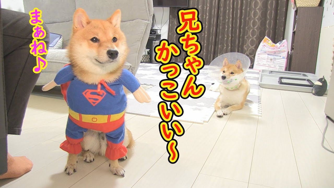 Ikuzo looks enviously at his brother who has transformed into a