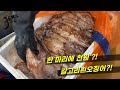 한마리 천원짜리..  갈고리흰오징어_ 이렇게 천대 받을게  아닌데 ....