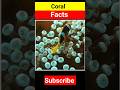 Mind-Blowing Coral Facts You Need to Know #youtubeshorts #trending #viralshorts #shortsfeed #shorts