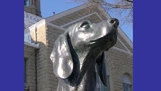 Man's Best Friend:  Old Drum, Warrensburg, MO