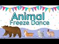 Animal freeze dance  movement break  heavy work activity