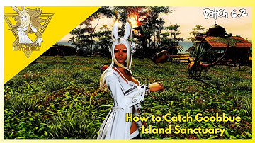 How To Catch Goobbue | Island Sanctuary Patch 6.2