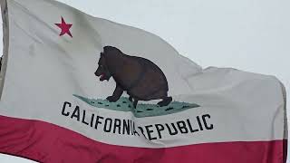 Free Stock Footage: California Republic Flag Waving