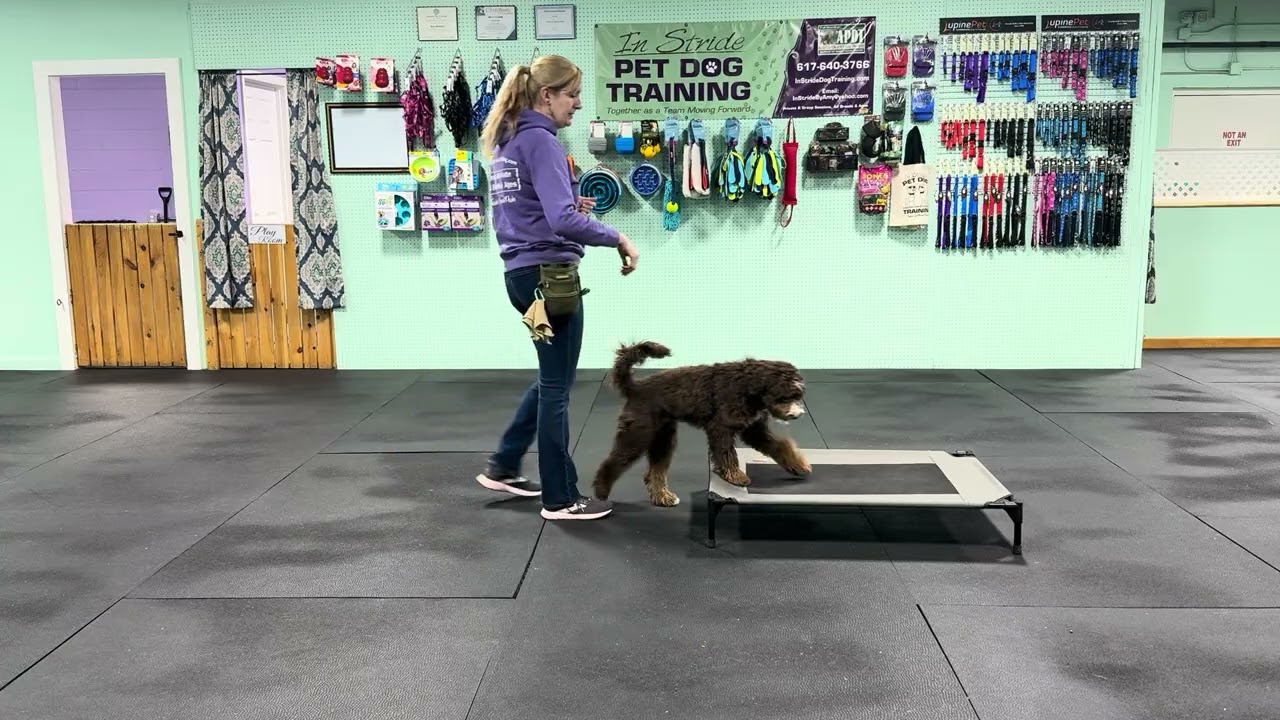 Sterling - Beginnings of Stay and your Place/Bed (Raised Cot). 