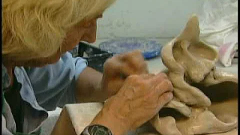 Healthline Segment Featuring Carol B Saylor