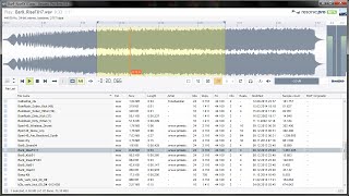 A First Look at Resonic Pro (Beta)