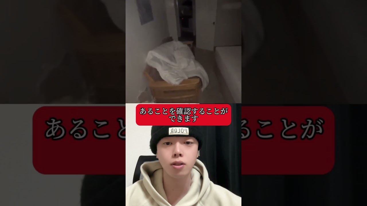 壁に隠された謎の扉 #shorts