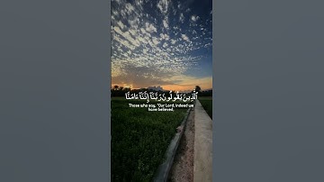 ماهر المعيقلي   سورة آل عمران #سورة_آل_عمران #ماهر_المعيقلي #القرآن_الكريم #سور_القران_الكريم