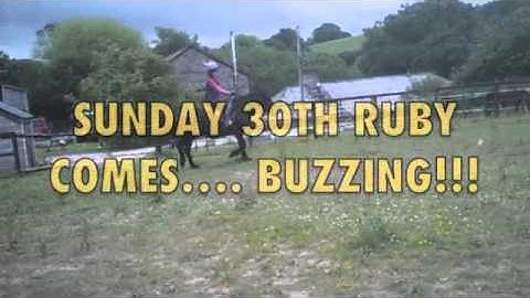 Countdown untill ruby arrives - 1 week