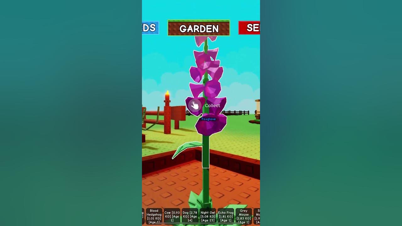 New Foxglove flower #growagarden #newupdate #roblox #growagardenupdate  #shorts #short