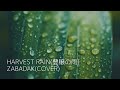 Harvest rain(豊穣の雨) / ZABADAK (cover)
