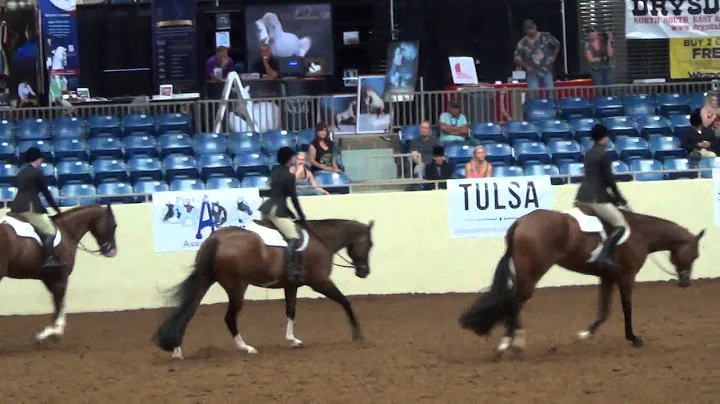 Samantha Floyd & Iron Sensation Pinto Worlds 2014 ...