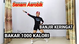 AEROBIK PEMULA MUDAH ASIK DAN BIKIN AWET MUDA