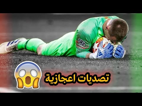 فيديو: جيري فوق برلين