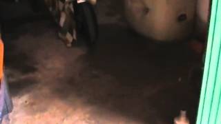 Referencia: 9998 - Venta de Bajos en SALOBRAL, EL provincia de ALBACETE