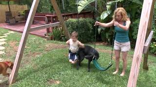 COPING WITH PET ALLERGIES