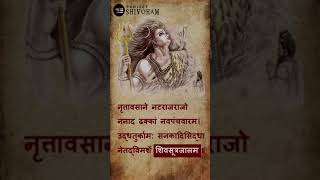 Shiva Sutras screenshot 1