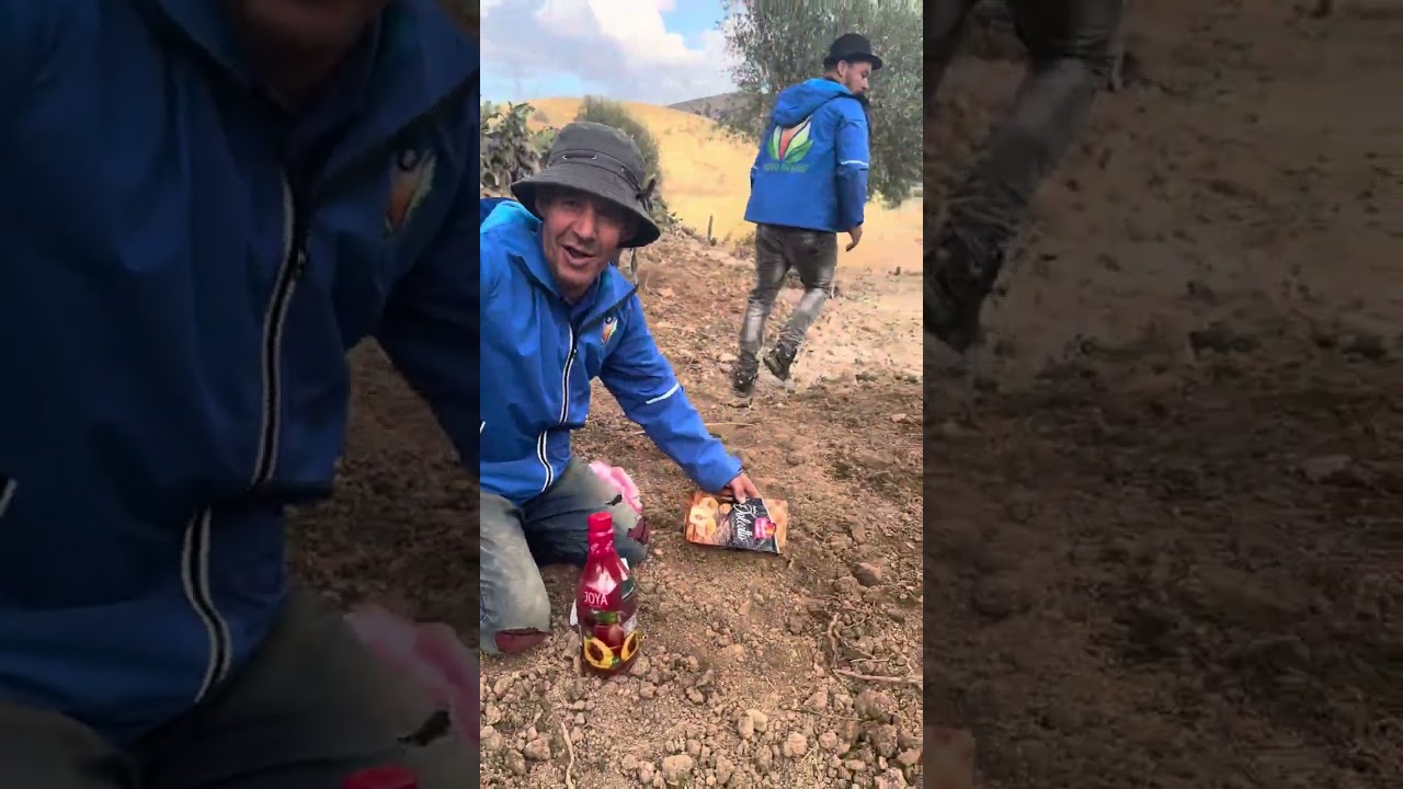 عمي الميلود كشف نعنوع