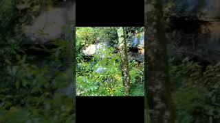 Camp Greenville South Carolina
