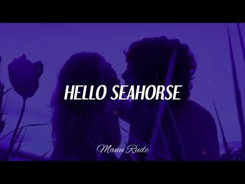 Hello Seahorse -
