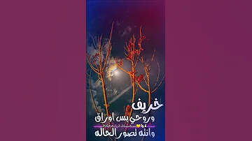 خريف وروحي بس اوراق وانته تصور الحاله ستوريات انستا حالات واتساب 2021 