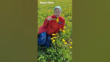 ЭТО НЕ ТОЛЬКО МЕД ЭТО ЗДОРОВЬЕ ОТ ПРИРОДЫ ОДУВАНЧИК С ПОЛЬЗОЙ@natureMarusya