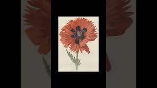 Botany