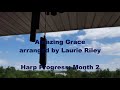 Amazing grace on a mikel 38 harp month 2 of playing harp