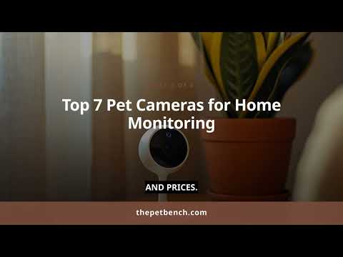Watch: The Ultimate Guide to the Best Pet Cameras for Home: Night Vision, Two-Way Audio, and More