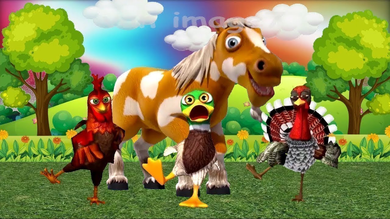 El Caballo Percherón Bailando En La Granja De Zenón Con El Gallo, El Pato y El Pavo