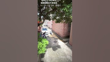 I never expected # human confusing behavior #forgive me Please do not imitate the video effect