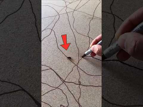 تحفة الحشرات