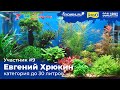 Аквариум 30 л. Участник №9 в категории до 30 литров #Scalariki​ Aquascaping Contest 2021