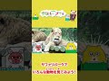 はたらくくるま 動物バスにのって大冒険！ライオンや赤ちゃんに会いたい！|学研キッズTV　#Shorts