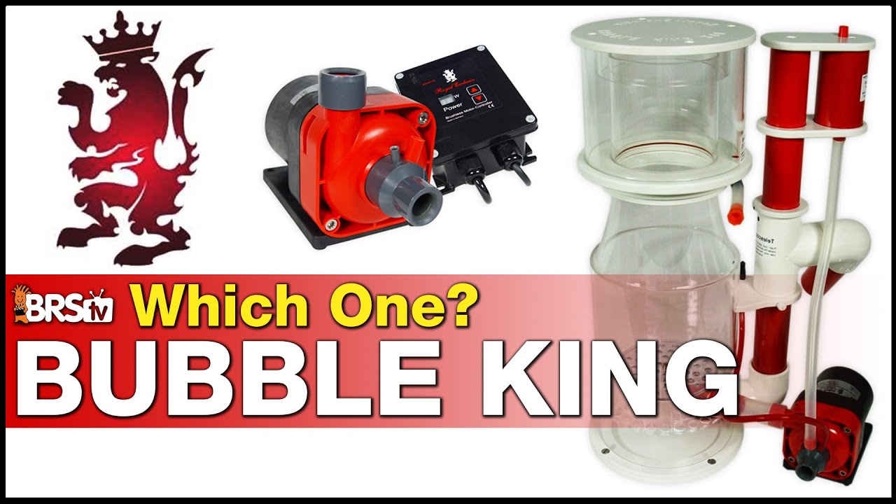 Bubble King DeLuxe 300 Protein Skimmer - Royal Bulk Supply